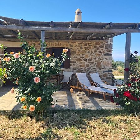 The Stone House Villa Potamos  Dış mekan fotoğraf